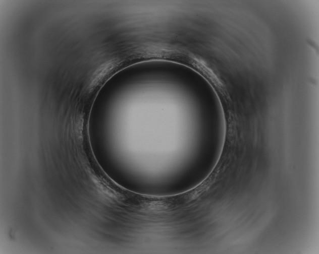 X0000091880058200709051332