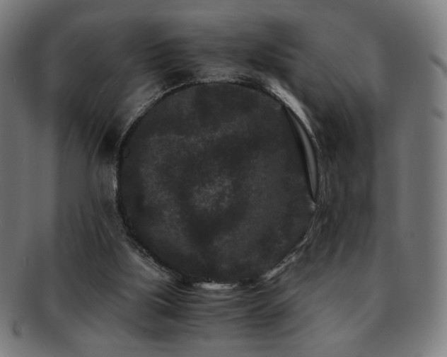 X0000091880059200709051332
