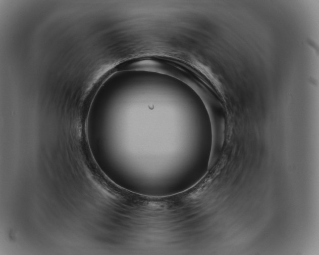 X0000091880060200709051332