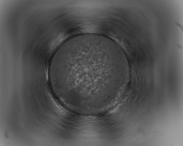X0000091880062200709051332