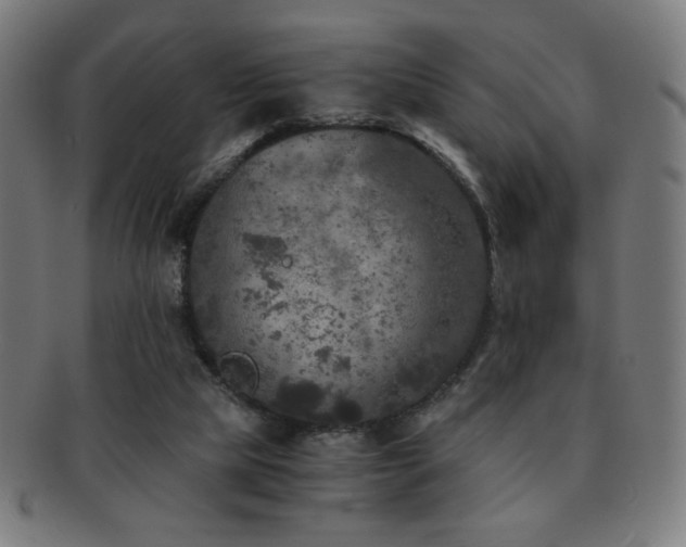 X0000091880065200709051332