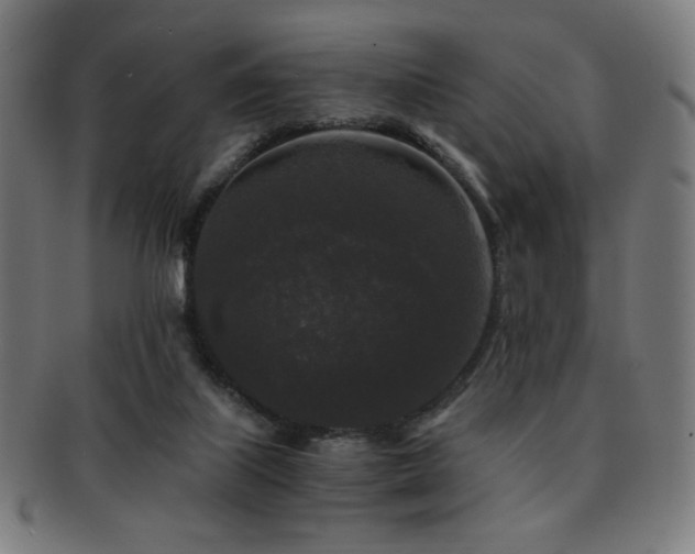 X0000091880067200709051332