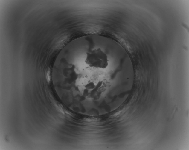 X0000091880069200709051332