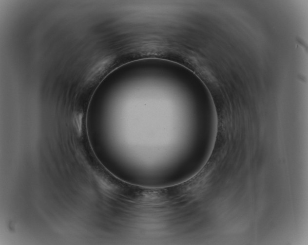 X0000091880070200709051332
