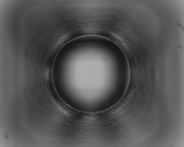 X0000091880071200709051332