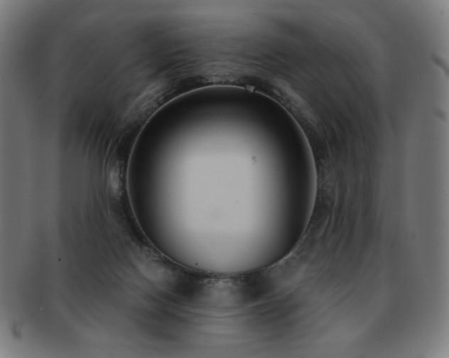 X0000091880074200709051332