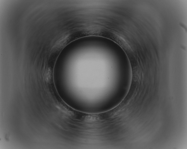 X0000091880077200709051332