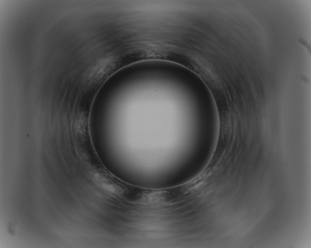 X0000091880078200709051332