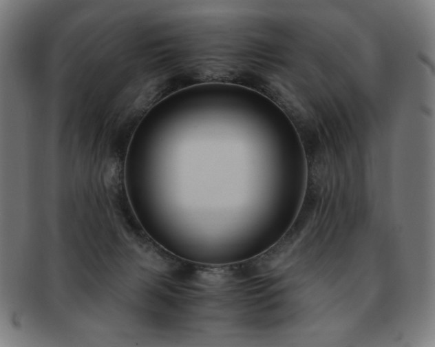 X0000091880079200709051332