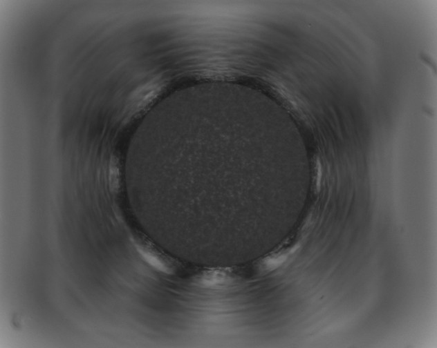 X0000091880080200709051332