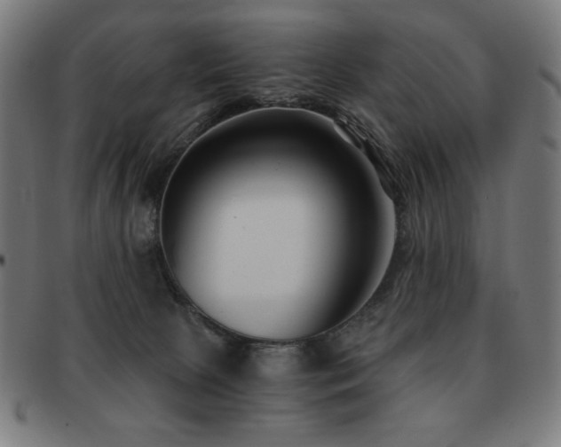 X0000091880081200709051332