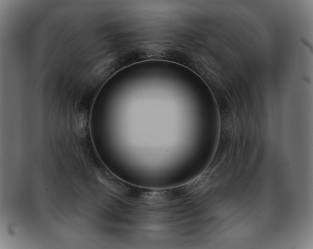 X0000091880082200709051332