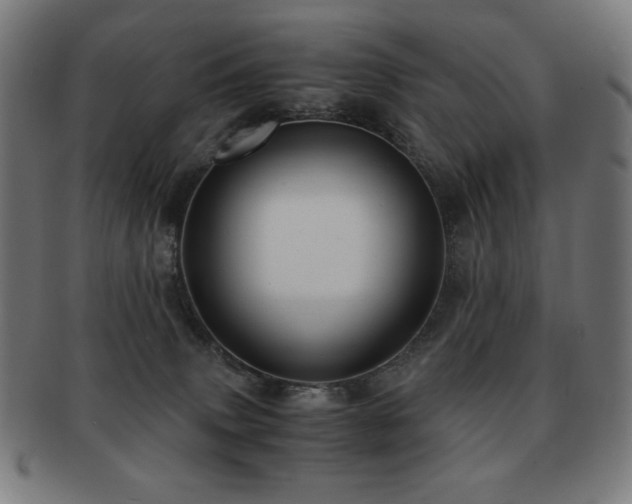 X0000091880083200709051332