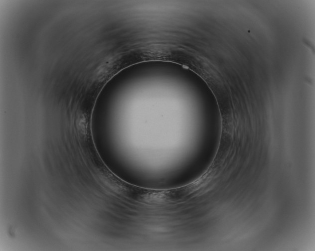 X0000091880086200709051332