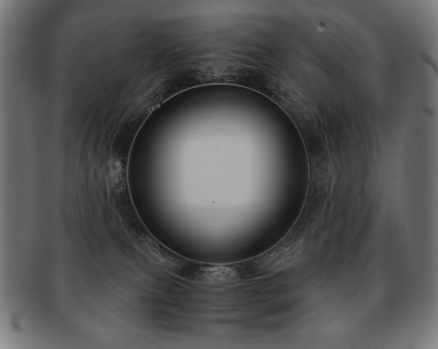 X0000091880087200709051332
