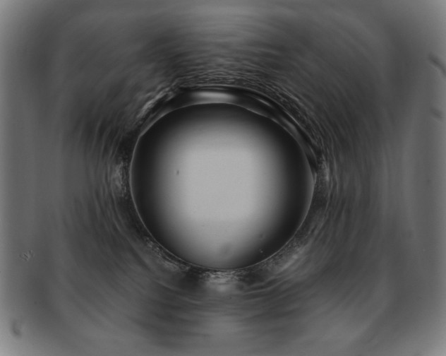 X0000091880088200709051332