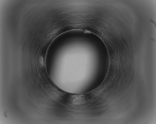 X0000091880089200709051332