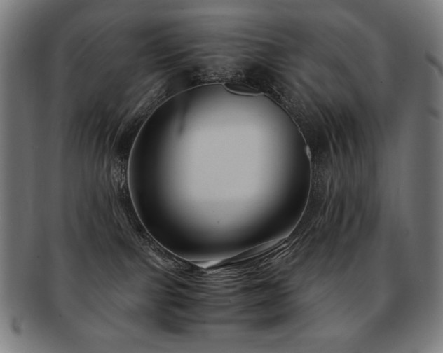 X0000091880091200709051332