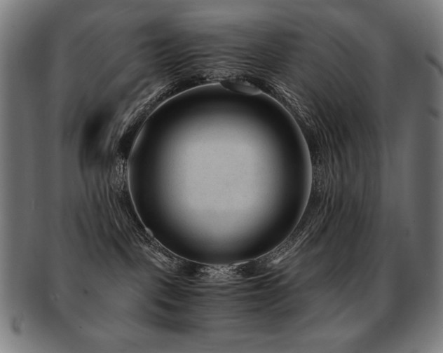 X0000091880093200709051332