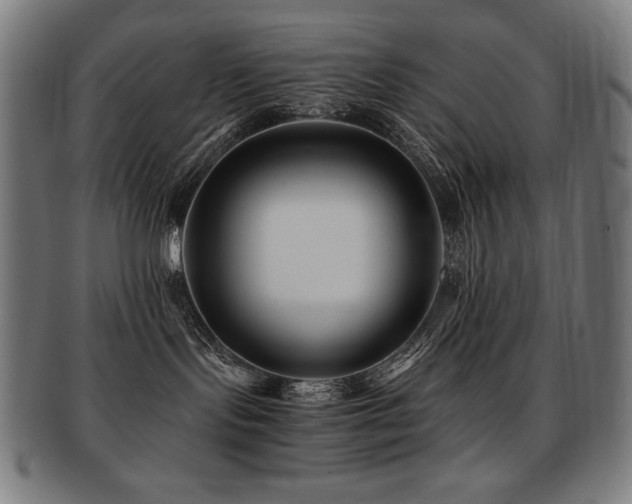 X0000091880095200709051332
