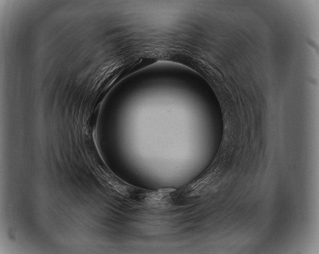 X0000091880096200709051332