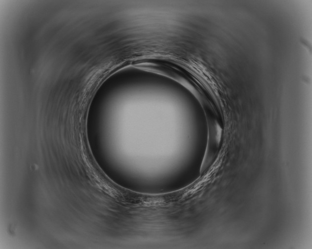 X0000091880097200709051331