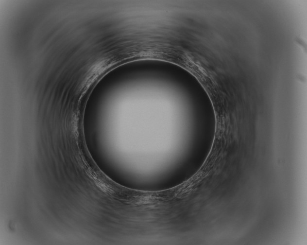 X0000091880098200709051331