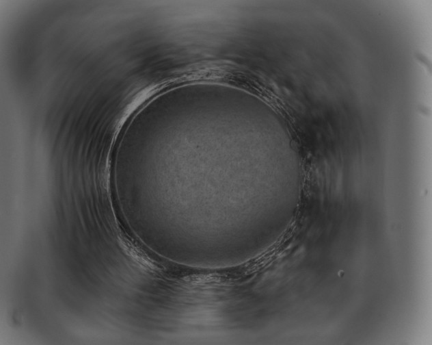 X0000091880100200709051331