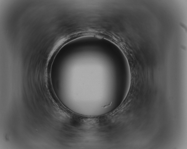 X0000091880102200709051331