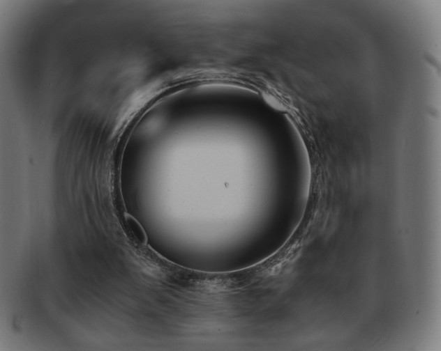 X0000091880103200709051331