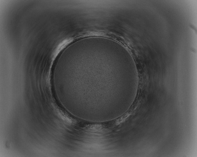 X0000091880104200709051331