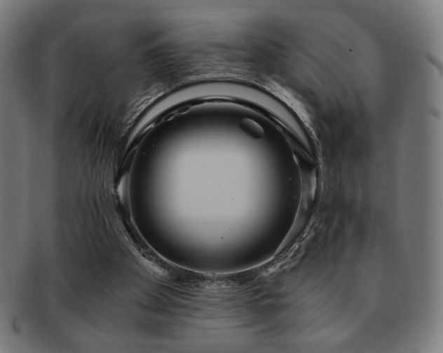 X0000091880105200709051331