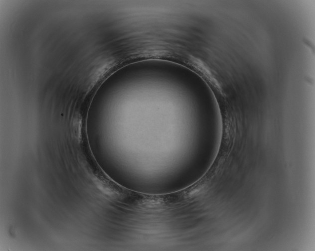 X0000091880110200709051331