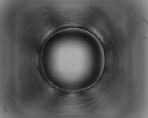 X0000091880111200709051331