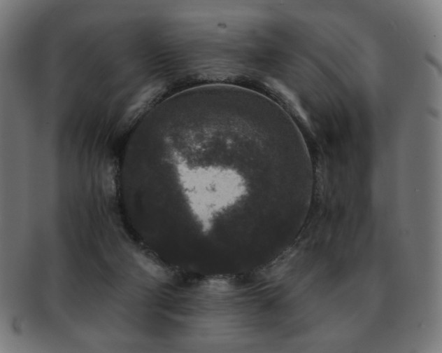 X0000091880114200709051331