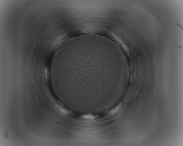 X0000091880117200709051331