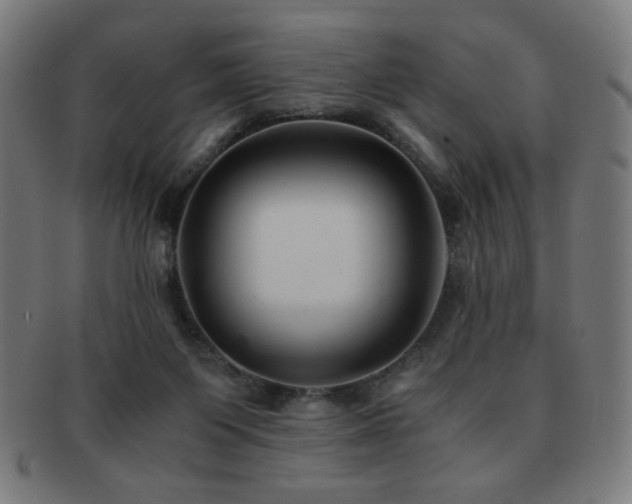 X0000091880119200709051331