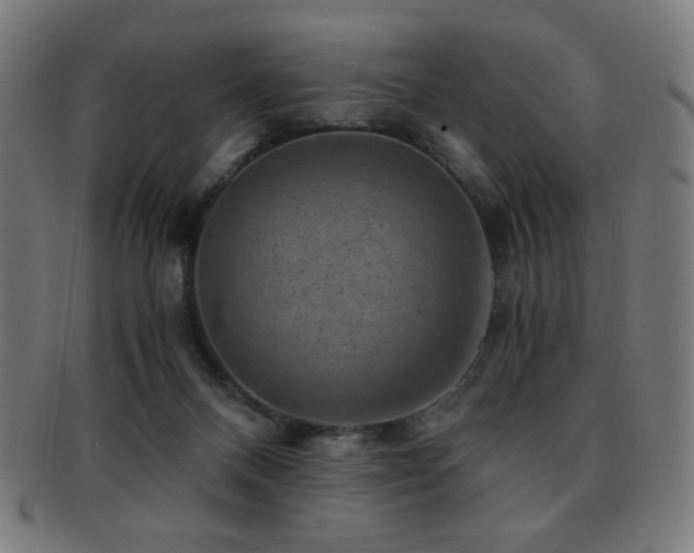 X0000091880120200709051331