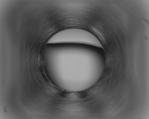 X0000091880121200709051331