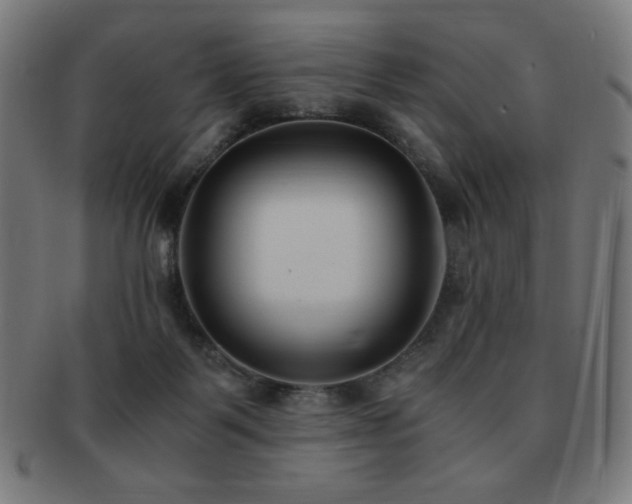 X0000091880123200709051331