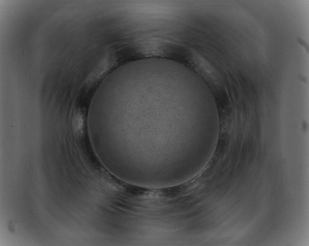X0000091880124200709051331