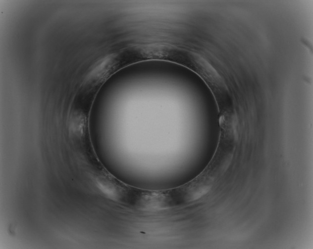 X0000091880125200709051331