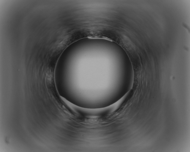 X0000091880129200709051331