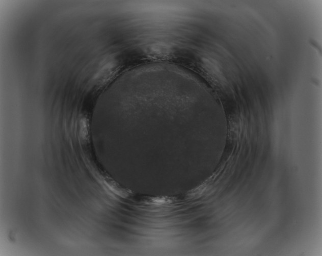 X0000091880130200709051331