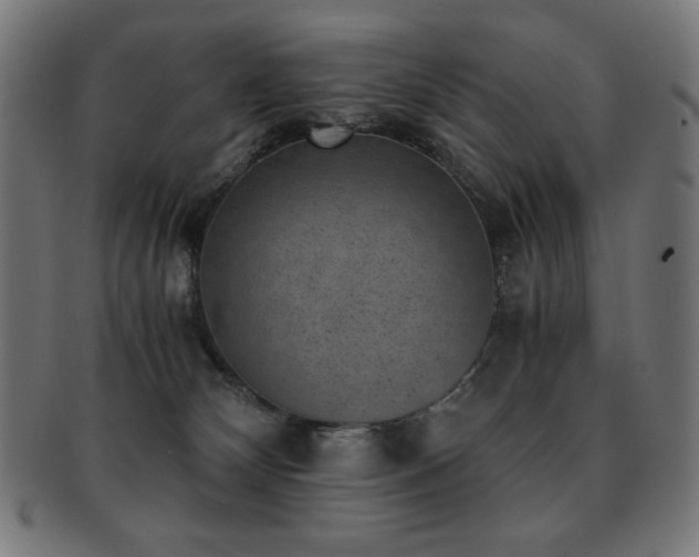 X0000091880132200709051331