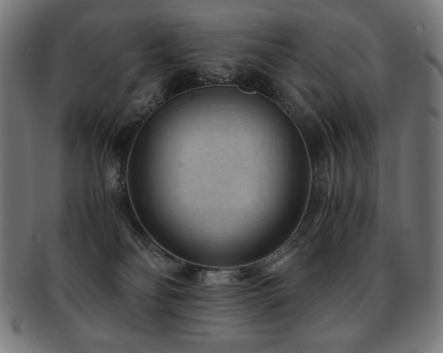 X0000091880134200709051331