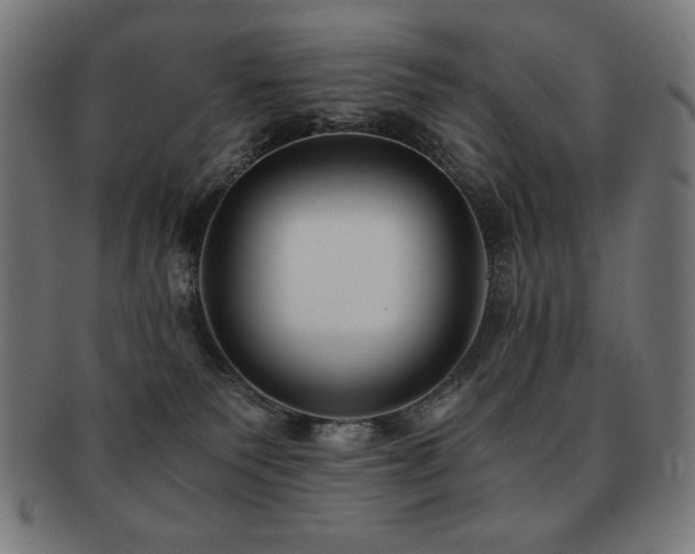 X0000091880135200709051331