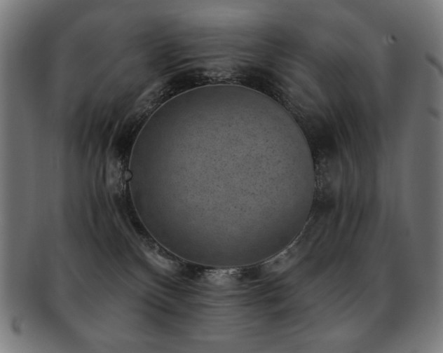 X0000091880136200709051331