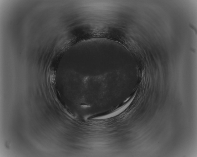 X0000091880137200709051331