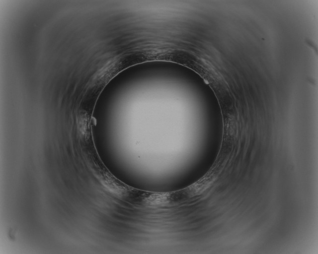 X0000091880138200709051331